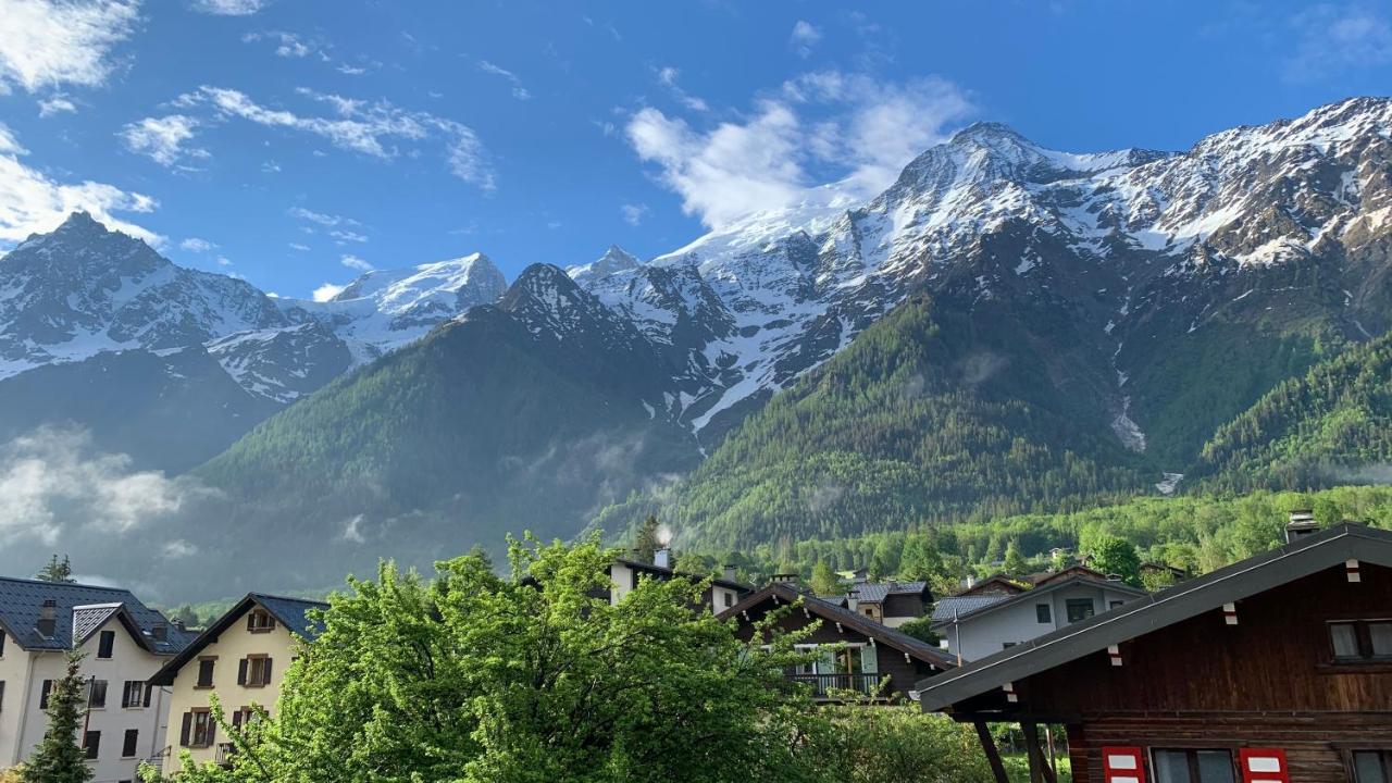 Apartment Vue Montblanc 5mn Piste1 *